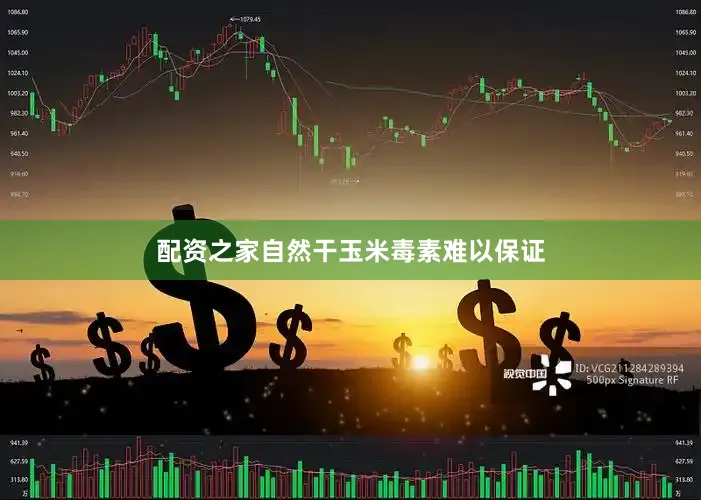 配资之家自然干玉米毒素难以保证